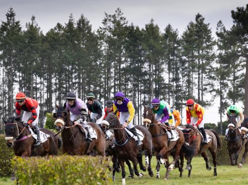 HIPPODROME MAURE DE BRETAGNE