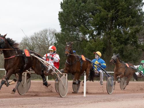 Hippodrome de Maure de Bretagne