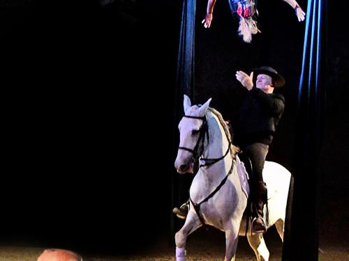 Cabaret équestre Les chevaux dansent à la bodega
