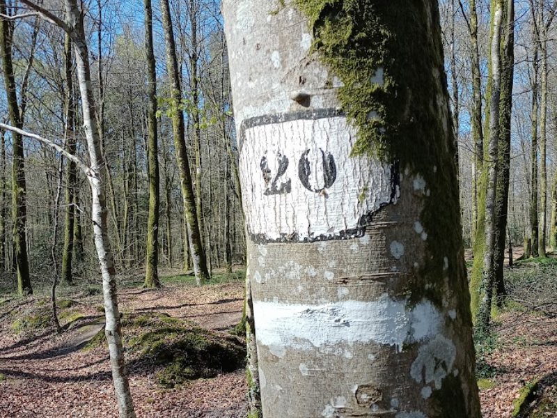 Design sans titre - 1