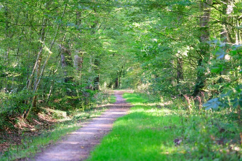 Parc de la Haichois