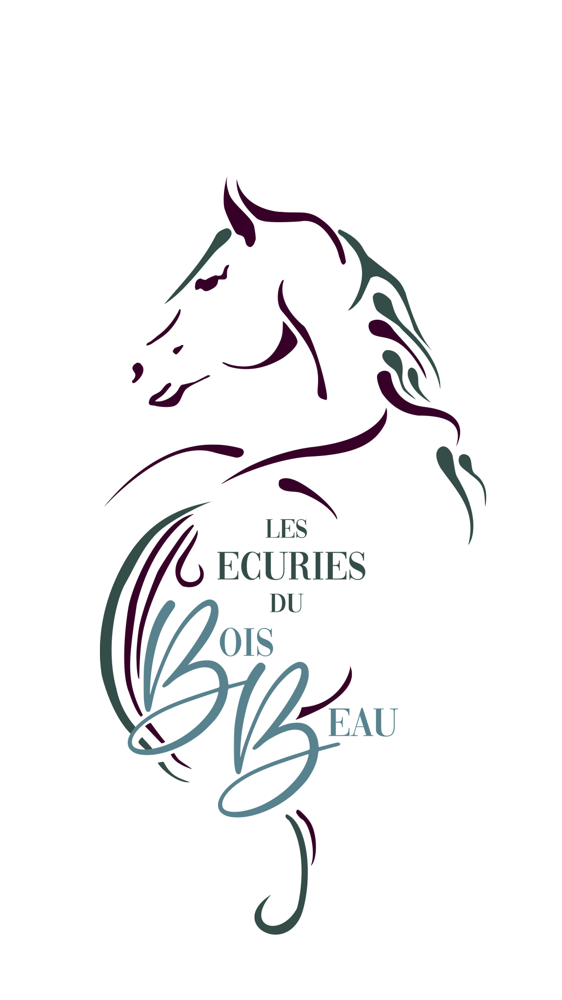 Ecurie-bois-beau