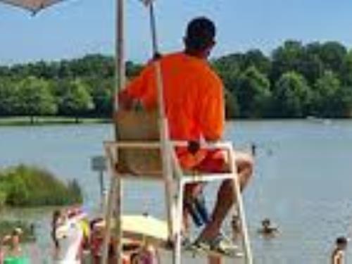 Etang_de_Buhel2