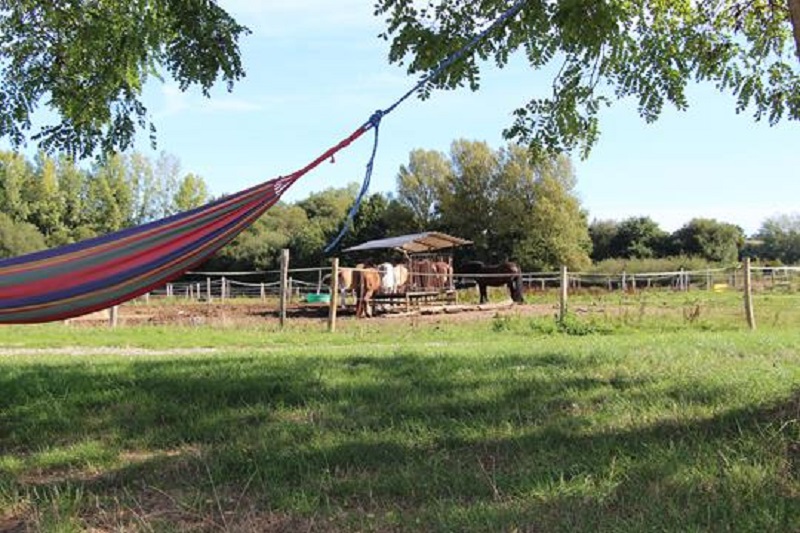 Ferme-equestre-d-Arwen