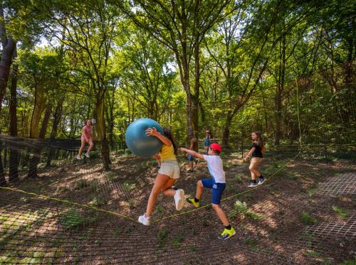 Moulin Neuf Aventure - Filets dans les arbres