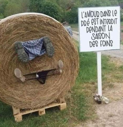 Gîte Ann'Armor (3)