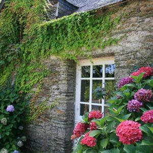 Gîte Nature de la Taberge Le Meunier à Sainte-Anne-sur-Vilaine—© Hélène Rozé Gîte Nature de la Taberge Le Meunier à Sainte-Anne-sur-Vilaine