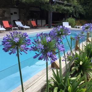 Piscine—Tous droits réservés Piscine