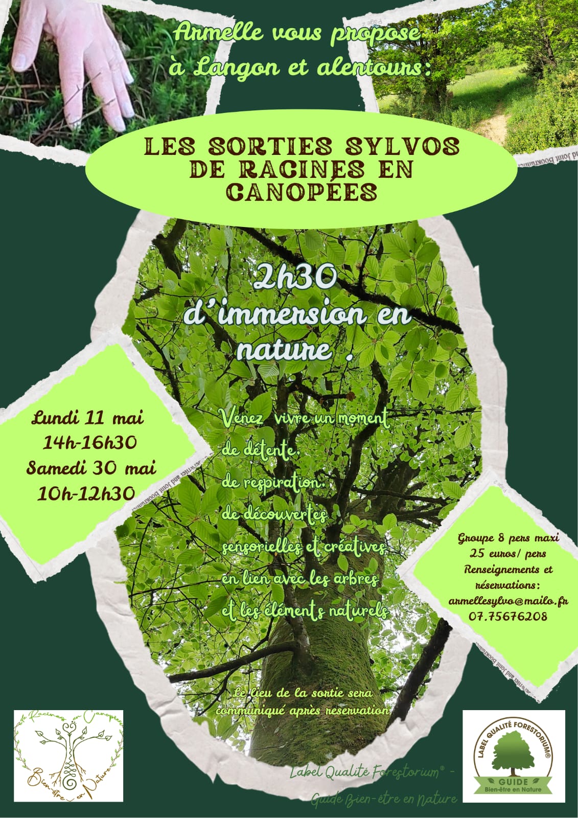 Affiche de Racines en Canopées mai 2026 - Armelle Gélard 