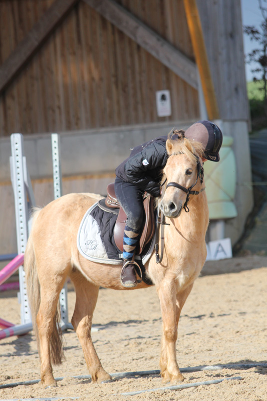 Poney - Le Bois Gerard - Centre equestre