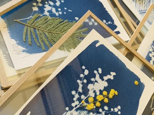 Réalisations en cyanotype 