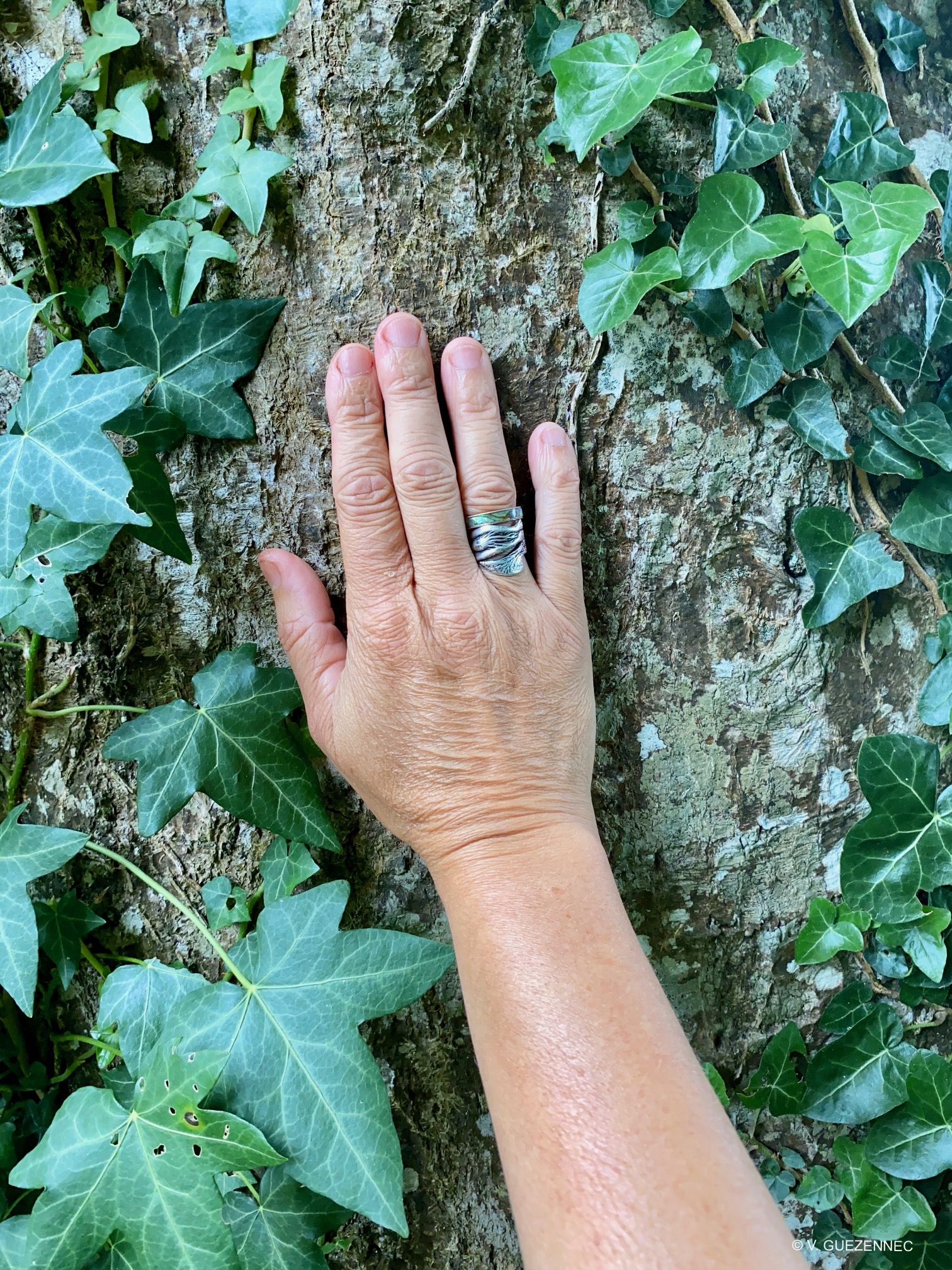 Bains de Forêt - Pays de Châteaugiron Tourisme