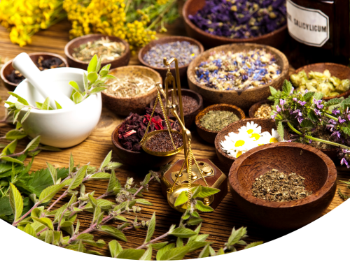 Image - Plantes médicinales (2)