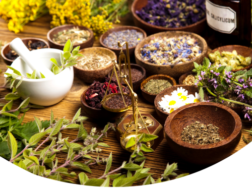 Affiche PLANTES MEDICINALES - 1