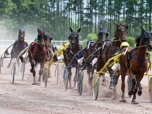 HIPPODROME MAURE DE BRETAGNE