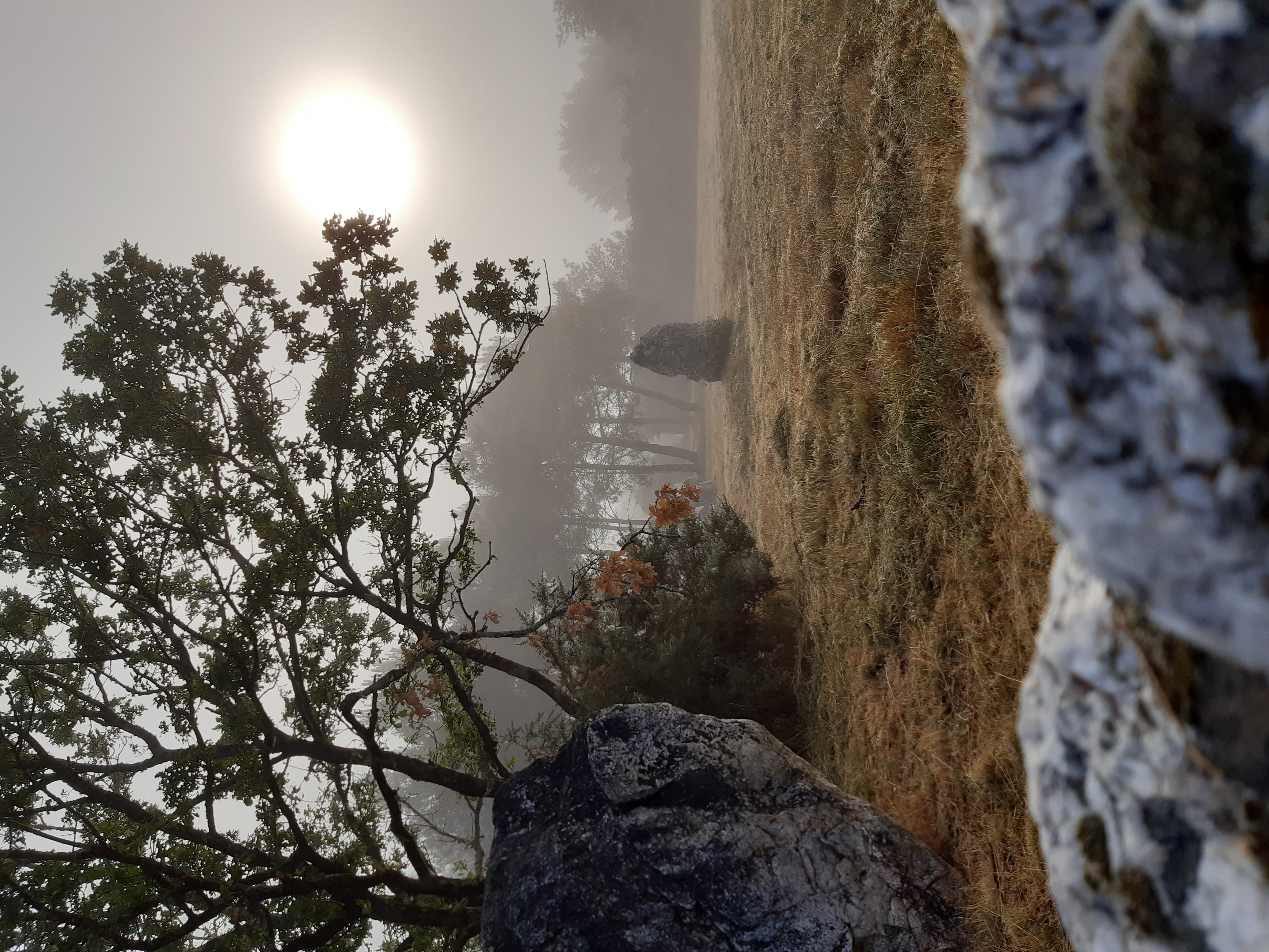 LANGON - Les demoiselles de Langon_otpr - 3 - Morgane Busnel-Masson