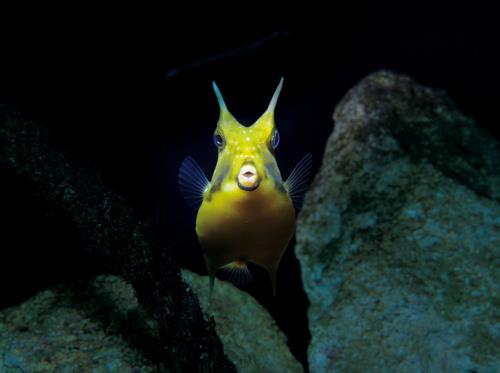 Grand Aquarium de Saint-Malo