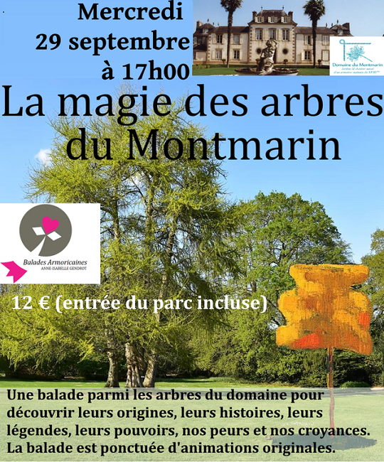 La magie des arbres du Montmarin