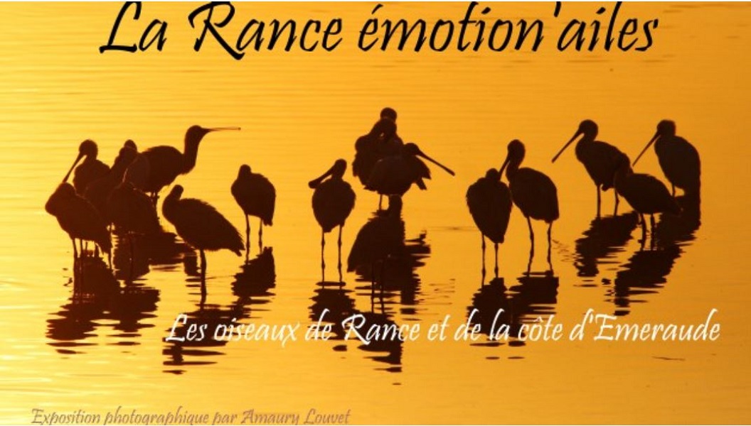 Exposition - La Rance, Emotion ’ailes