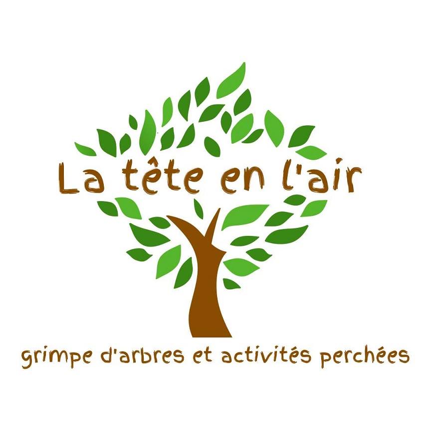 La tête en l'air_Cote d'Emeraude_Grimpe d'arbres_tous publics dont handicap_événements privés_collectivités_individuels