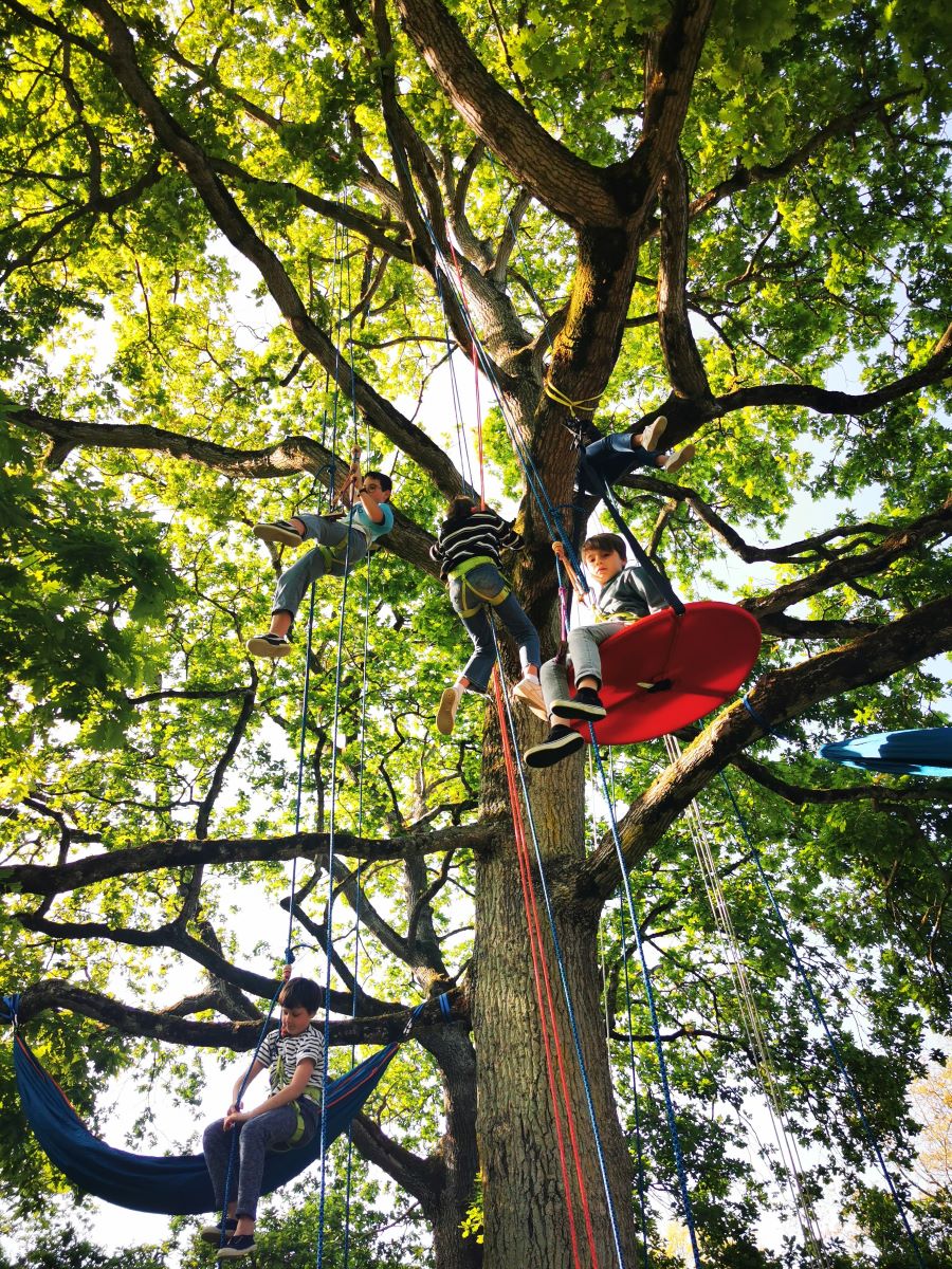 La tête en l'air_Grimpe d'arbres_Beaussais