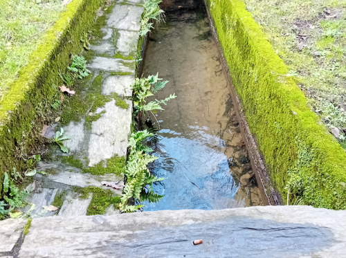 Le TUET Janvier 2024 Kristal (6)