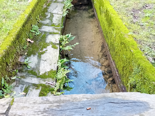 Le TUET Janvier 2024 Kristal (6)