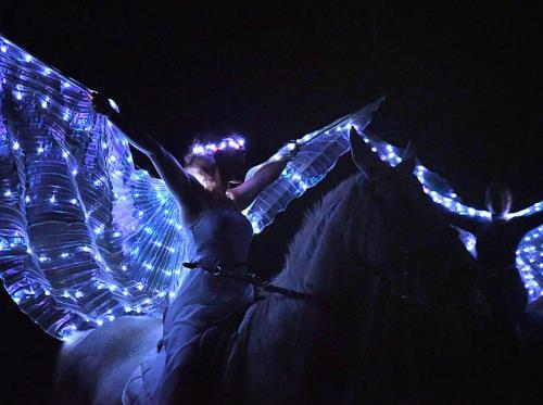 Le royaume des étoiles-Théâtre équestre Bzh