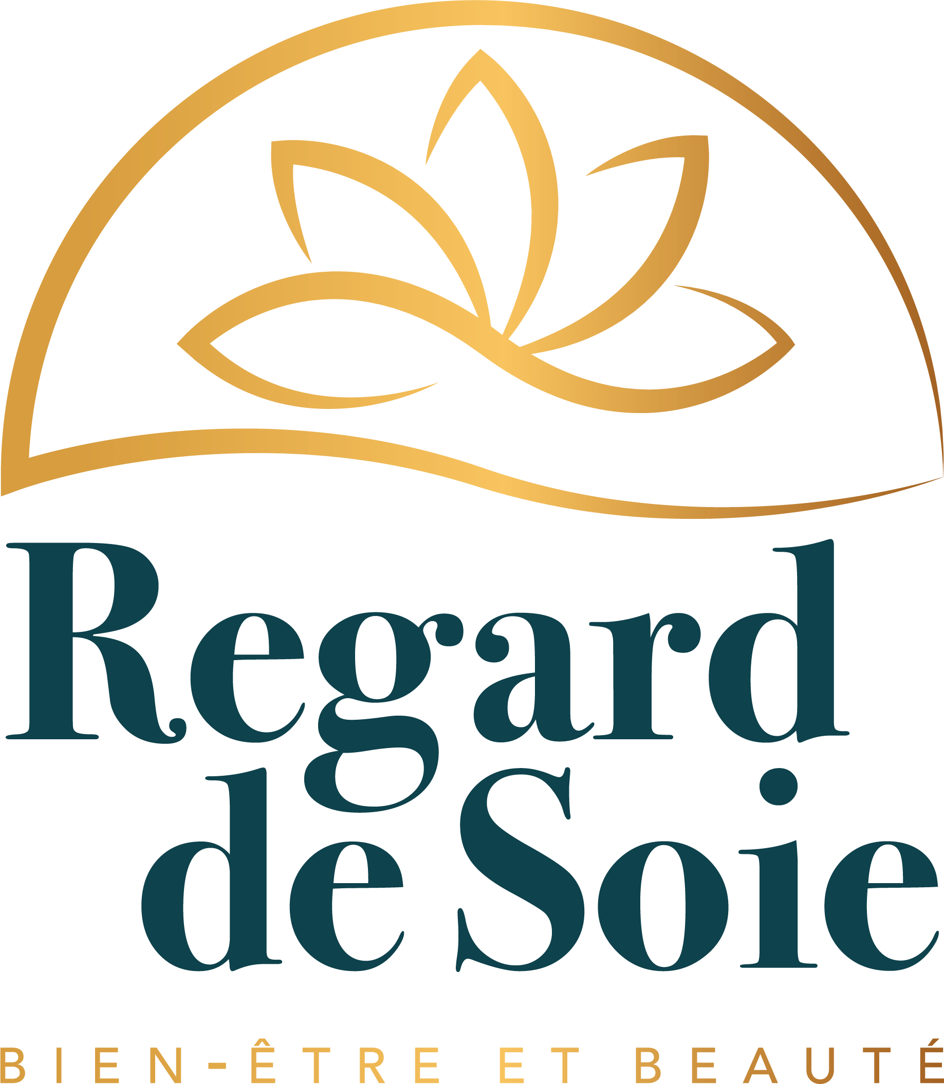 Logo V or-bleu (1)