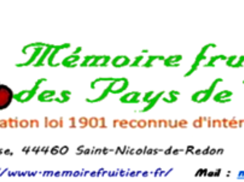Logo lettre type