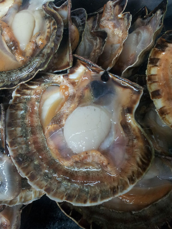 Douzaine d'huîtres - Photo de La Cale - Solidor, Saint-Malo - Tripadvisor