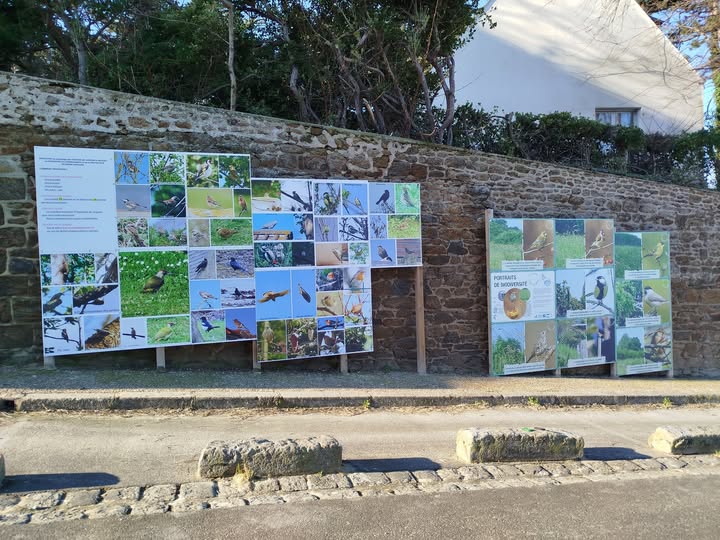 Exposition sur les oiseaux des jardins