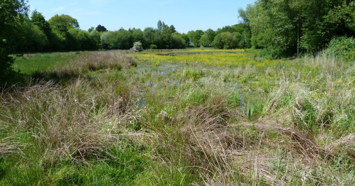 Sentier de promenade N°5 NoyalsurVilaine La clef des champs Pays de Châteaugiron Tourisme