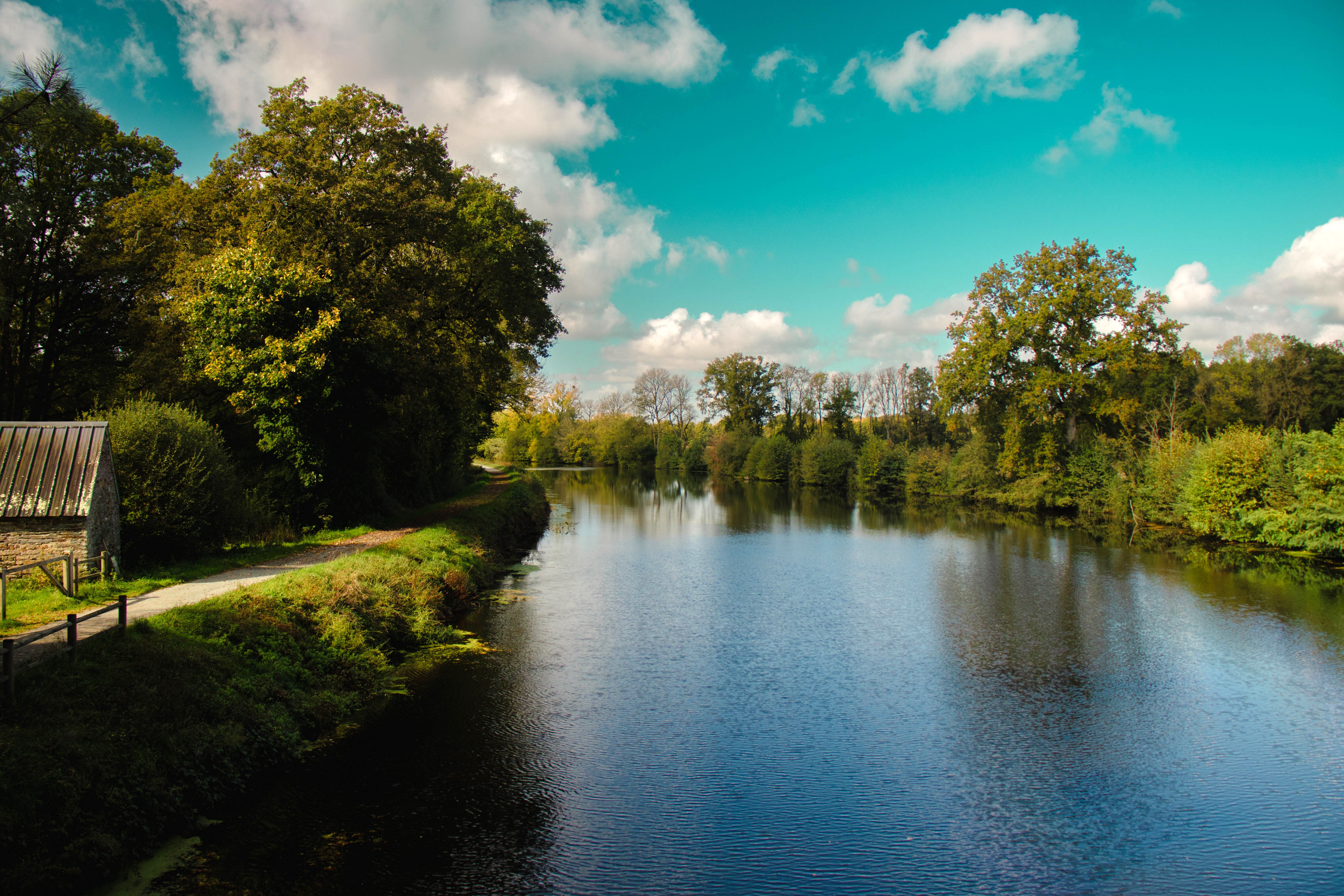 PEILLAC - bord de l'eau_Bauthamy Madoline (9) - Madoline Bauthamy