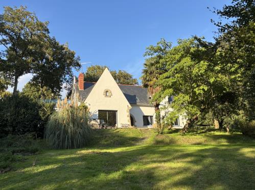 PHOTO-2026-Hêtre au bord de l'eau