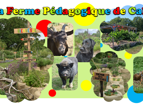 PHOTO-2026-LA FERME PEDAGOGIQUE DE CALLA—Ferme pédagogique de Calla PHOTO-2026-LA FERME PEDAGOGIQUE DE CALLA