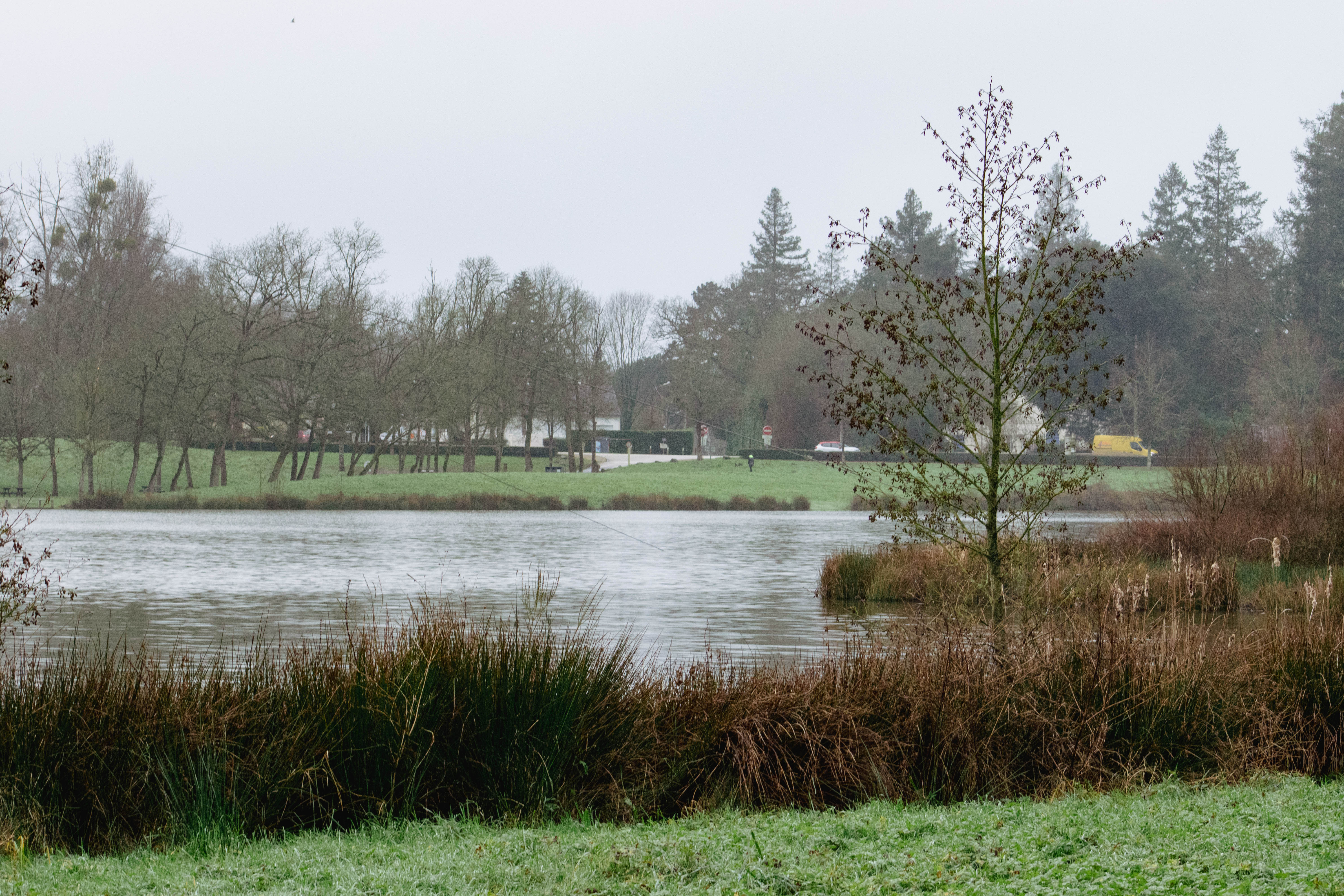 PLESSE - Étang de Buhel - Bauthamy Madoline (8) - Bauthamy Madoline