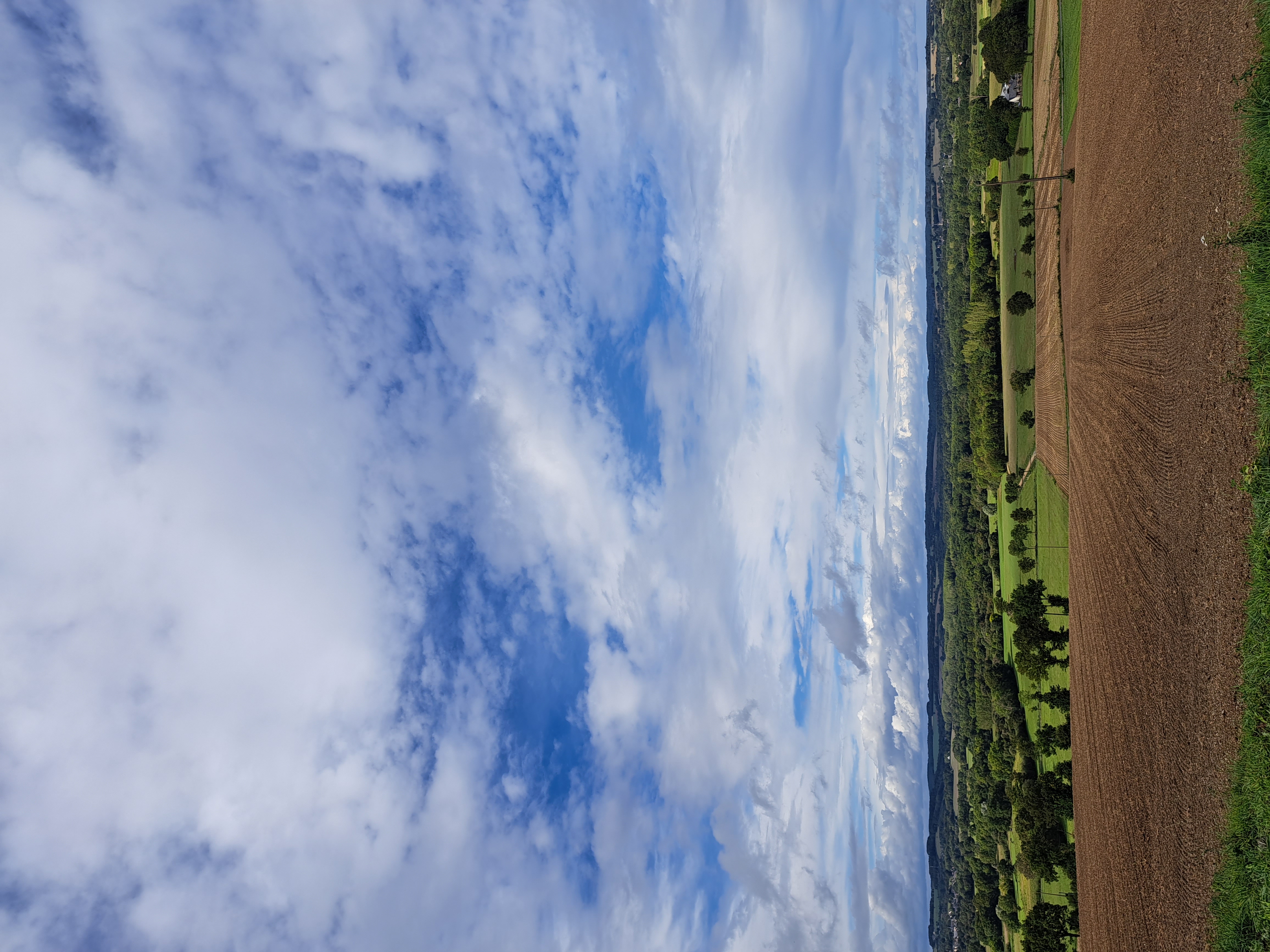 Panorama_LaBuffardais_Pierric_OTPR_2023 (2) - Morgane Busnel-Masson