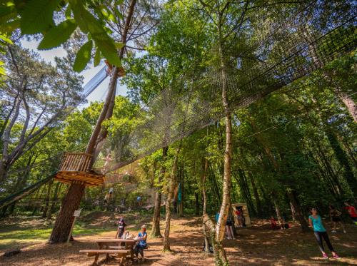 Base de loisirs Moulin Neuf Aventure - Filets dans les arbres