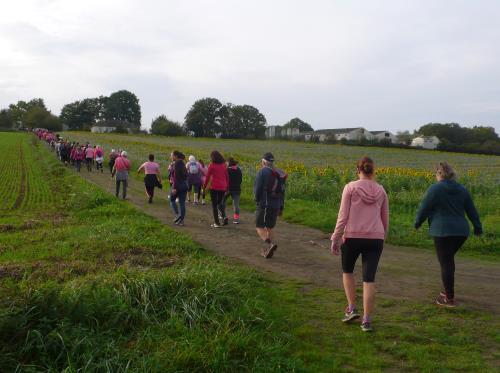 Photo - Sur les chemins pierricais