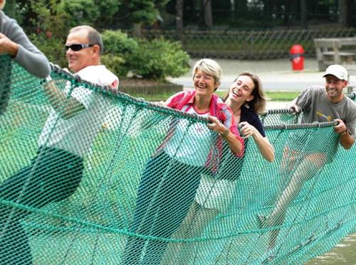 Pont de singe - Cobac Parc