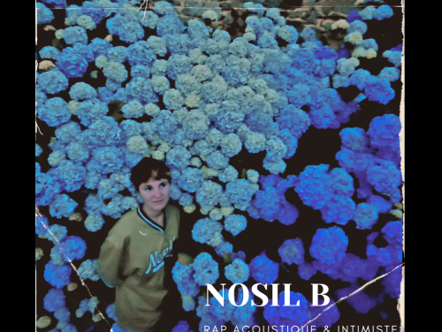Publication Nosil B