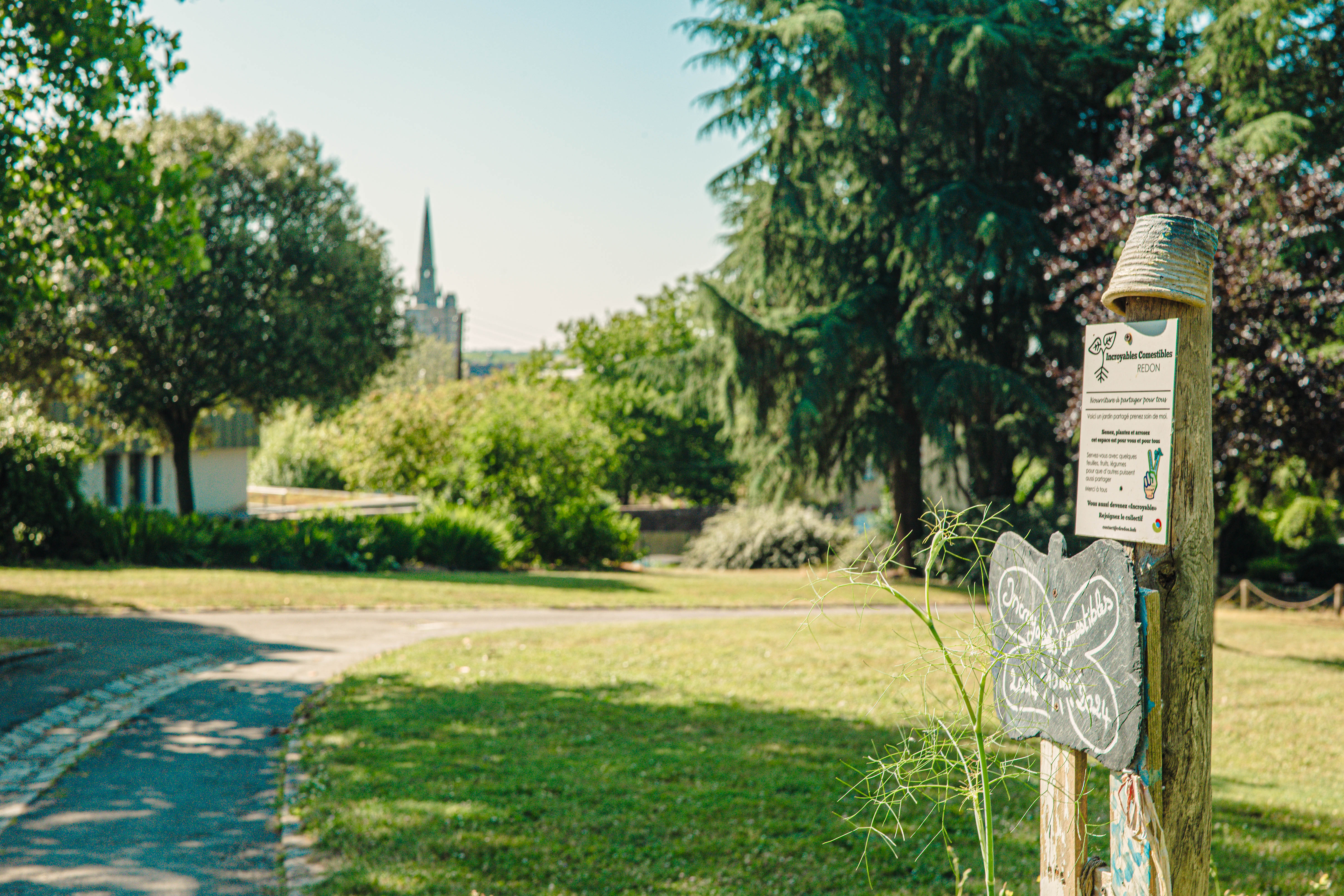 REDON - Parc De Bel Air_bauthamy madoline (189 (1) - Madoline Bauthamy
