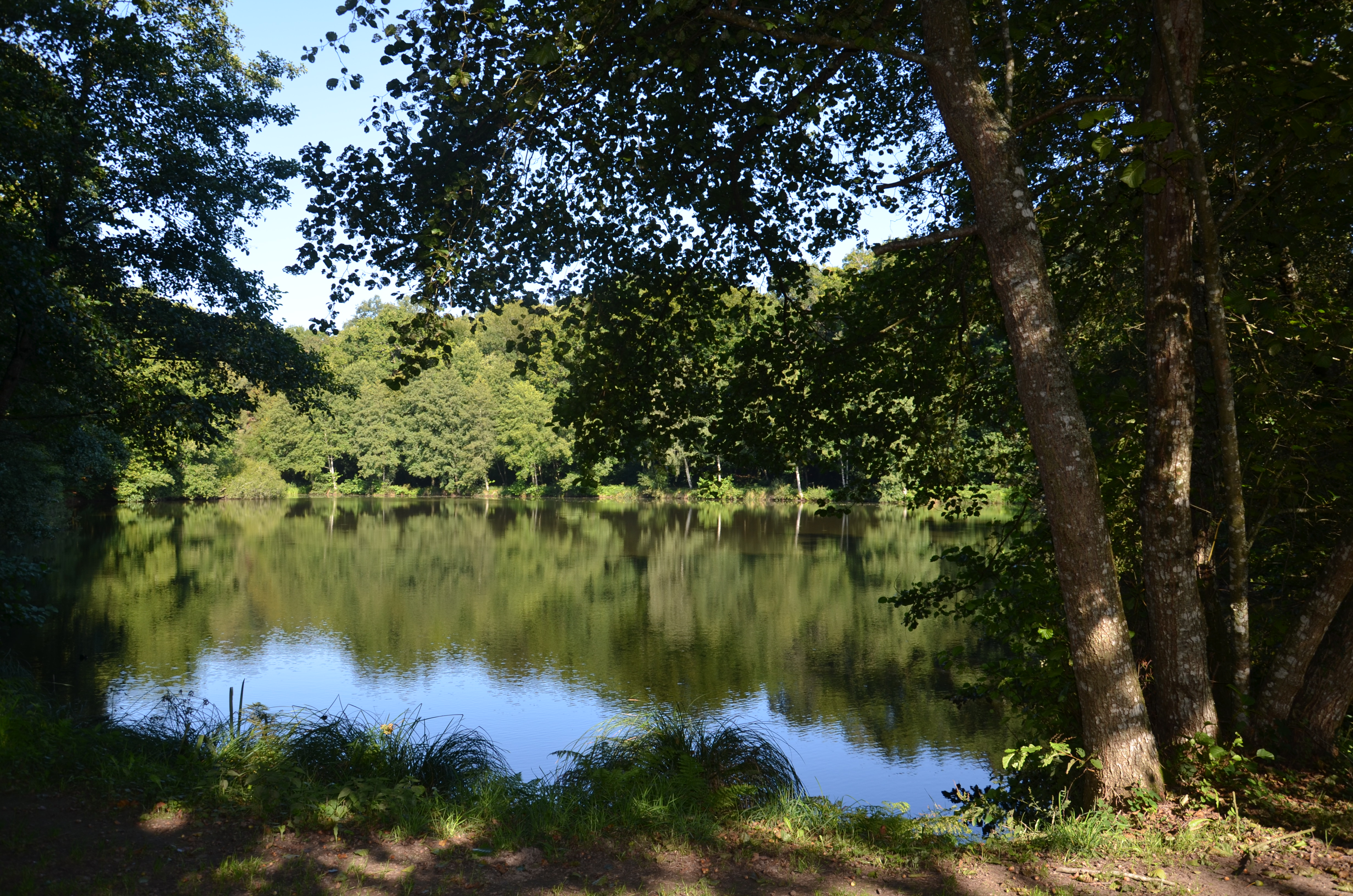 ST-JACUT-LES-PINS - Etang de Bodean_otpr - 1 - OTPR