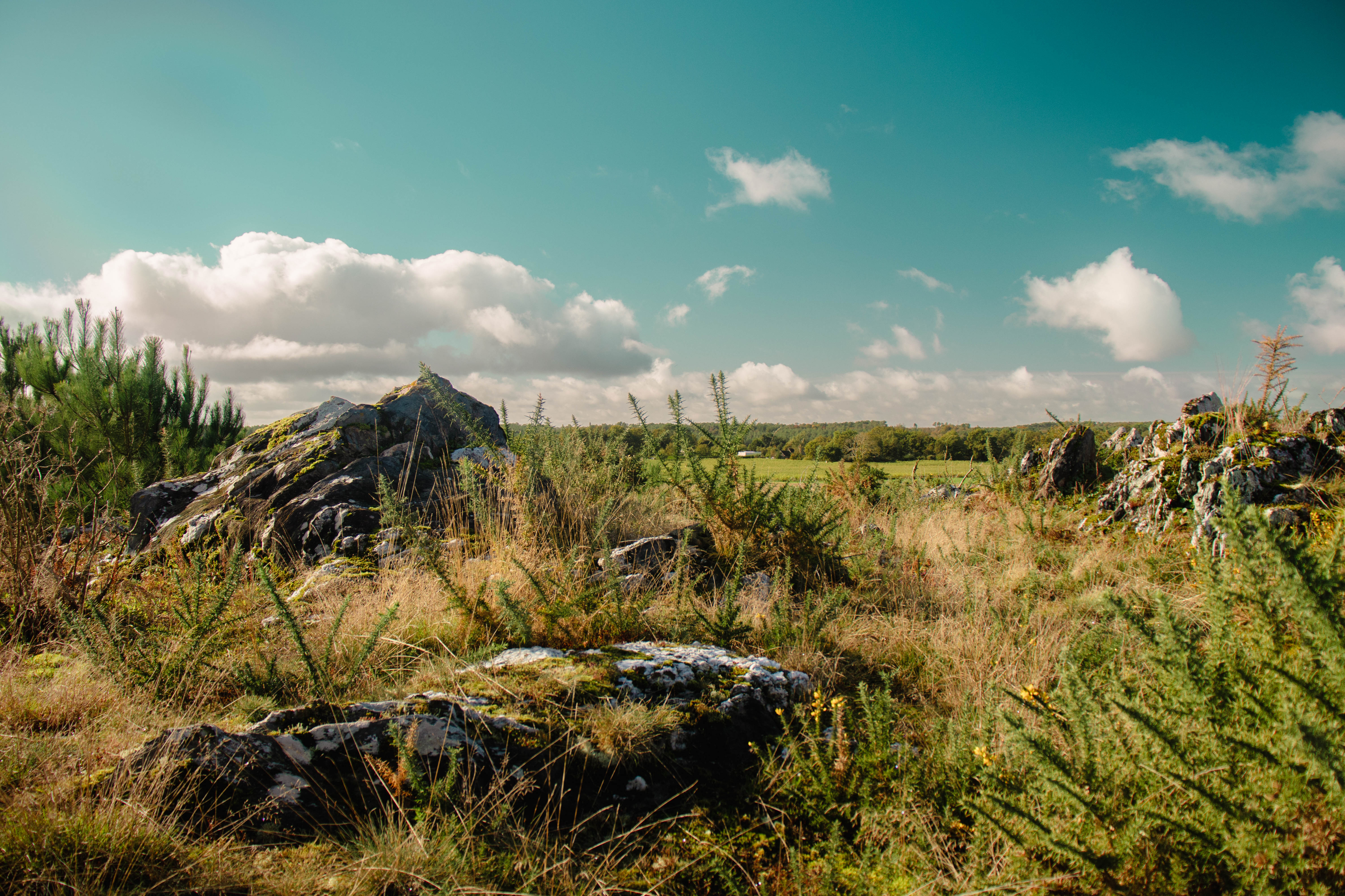 ST-JACUT-LES-PINS - La Butte Des Moulins_madoline bauthamy (35) - Madoline Bauthamy