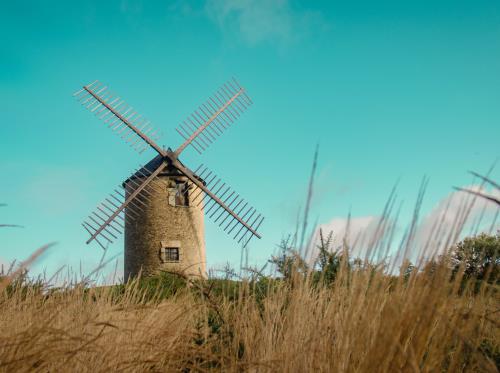 ST-JACUT-LES-PINS - La Butte Des Moulins_madoline bauthamy (4)