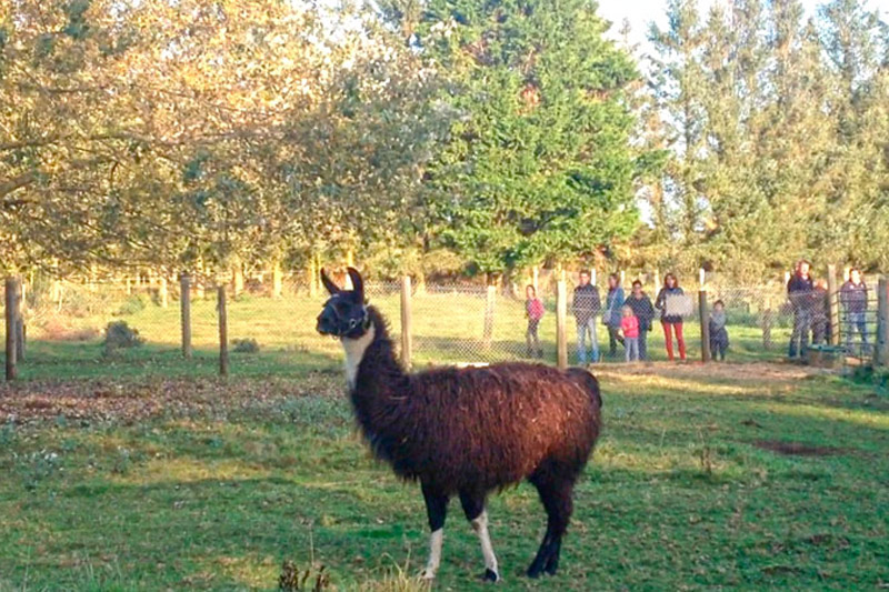 Parc de la Pommeraie