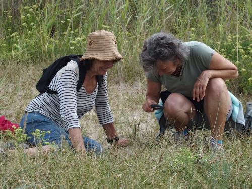 Saute-Ruisseaux_Balade