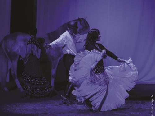 Théâtre équestre de Bretagne, La Gacilly, Destination Brocéliande, Bretagne