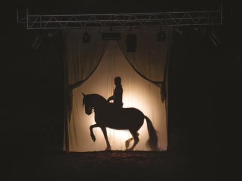Théâtre équestre de Bretagne, La Gacilly, Destination Brocéliande, Bretagne